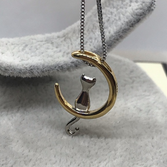 Jewelry - Sterling Silver Cat Moon Necklace